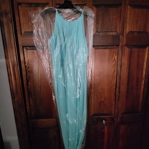 David's bridal size 10 floor length color is spa